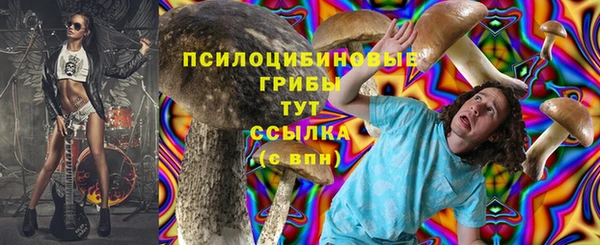 спиды Верхний Тагил