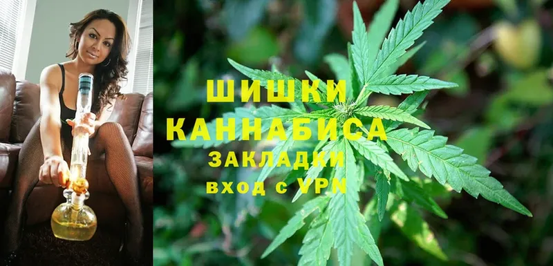 где продают наркотики  Богородицк  Марихуана White Widow 